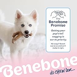 Benebone Puppy Wishbone Dog Chew Toy, Made in