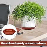 Nuqin Plant Pot Saucers 12 Pack 3 Sizes Waterproof Thickened Plastic view 2