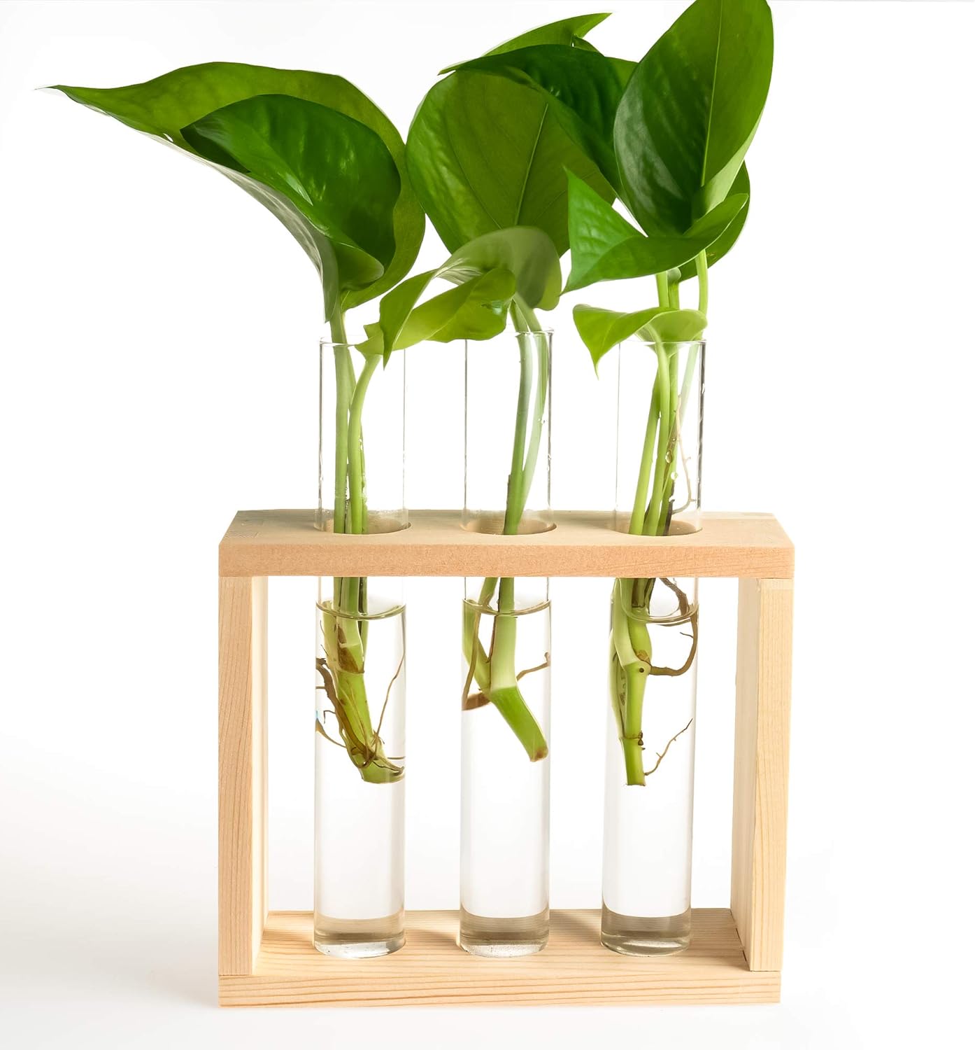 Amazon Com Pacdona Wall Hanging Glass Test Tube Planter Propagation Station Glass Vase Rack With Wood Stand Plant Terrarium Holder For Hydroponics Succulent Air Bamboo Plants With 3 Test Tube Kitchen Dining