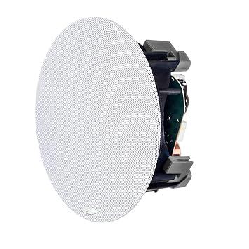 Martinlogan Ml62i Ea Stereo Input In Ceiling Speaker Price Buy