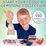 Science Kidz Ultimate Rock Collection Kit Over 150 Gemstones Fossils view 7