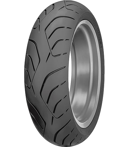 Amazon.com: Dunlop Roadsmart 4 Rear Tire (190/50ZR-17