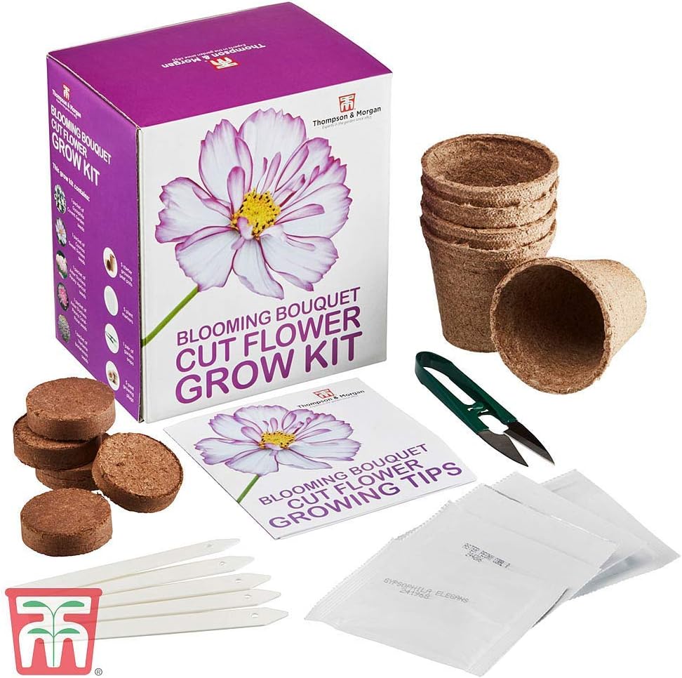 Blooming Bouquet Seed Growing Kit Gift Box, Grow Your Own Cut Flowers, Gypsophila, Cosmos - Image 3