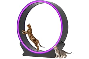 MIWOOYY Large Cat Exercise Wheel with LED Lights - 40 inch Purple ABS Plastic Cat Wheel Exerciser for Indoor Cats, Safety Cat Treadmill with Non Slip Carpet & Lock Pin