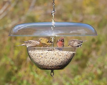 Duncraft Tilt Top Baffle Feeder Amazon Co Uk Garden Outdoors