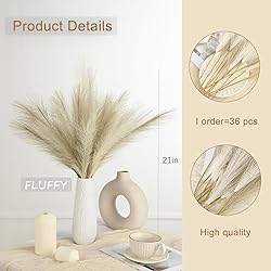 U-LIAN 36PCS Faux Pampas Grass 21.7 Inch, Small