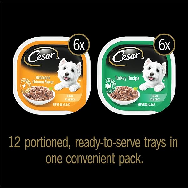 CESAR FILETS IN GRAVY POULTRY LOVERS VARIETY PACK WET DOG FOOD, 3.5 OZ., COUNT OF 12