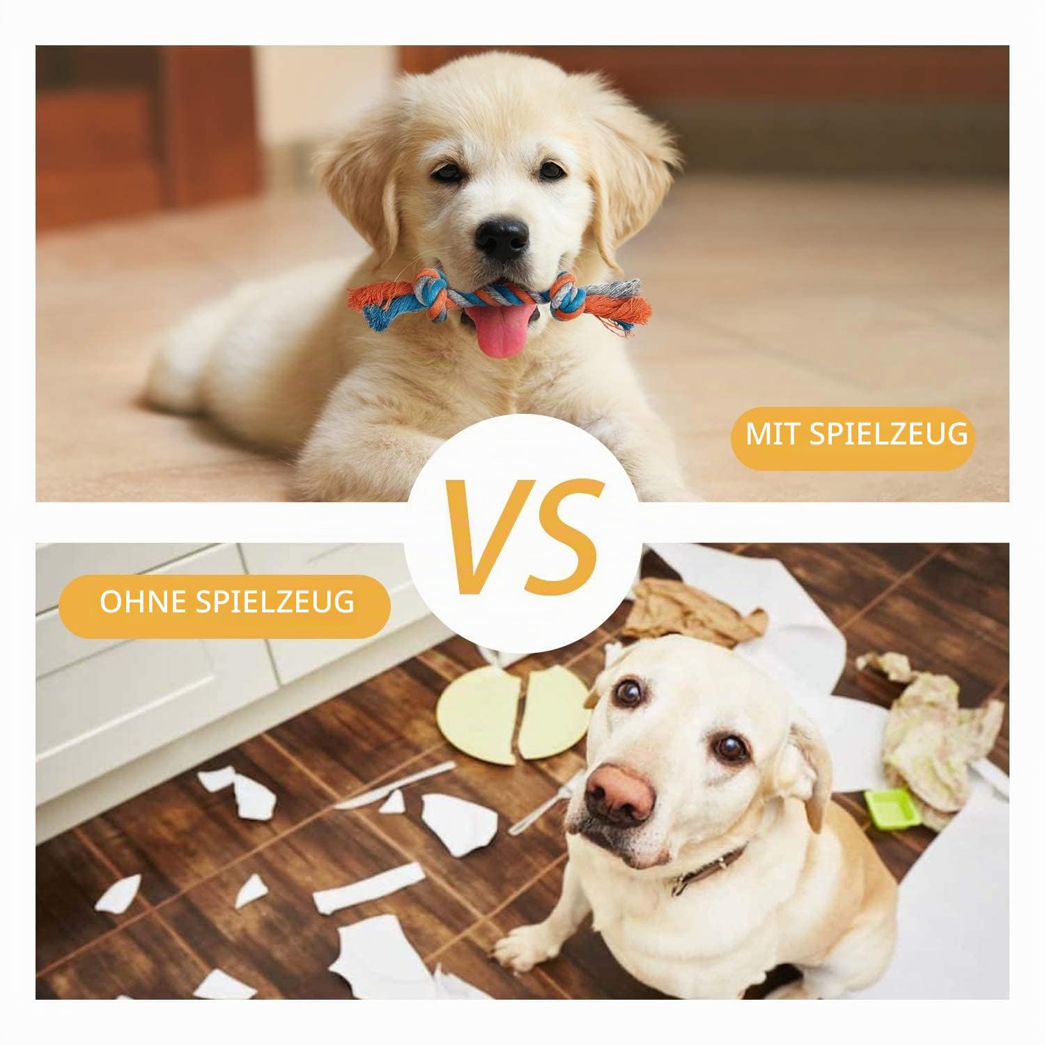 Toozey Hundespielzeug Kleine Hunde - 7 Stück Welpenspielzeug - Langlebiges Kauspielzeug und Quietschspielzeug Intelligenz - Naturbaumwolle und Ungiftig 4