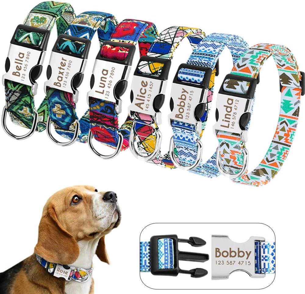 Didog Custom Dog Collars with Engraving Quick Release Buckle, Personalized Dog Collar with Fashion Patterns Fit Small Medium Large Dogs