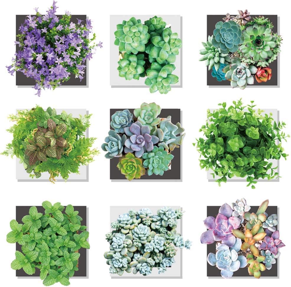 Best wall decals for living room plants