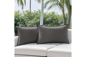 NASIGORENG Pack of 2 Waterproof Pillow Covers Decorative Outdoor Pillows Sofa Cushion Covers Garden Spring Pillowcase Couch Cushion Cases for Patio Balcony Tent Sunbrella Beach Deck 12x20 Inch Gray