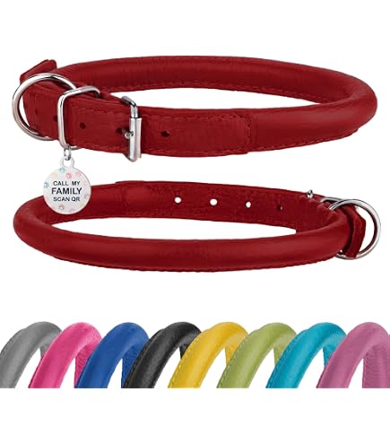 Collar Látigo Town Para Perros – Cuero De Grano Superior – 6 Tallas – Resistente Y Ajustable