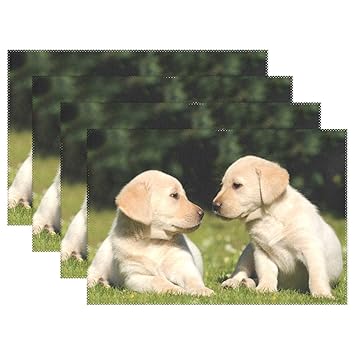 Amazoncom Hokkien Blue Viper Cute Baby Labrador Placemat Heat Amazoncom Hokkien Blue Viper Cute Baby Labrador Placemat Heat