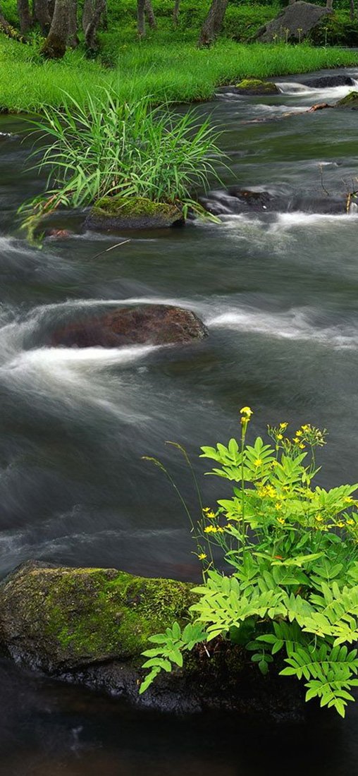 PeelitStickit, Beautiful Nature Wall Murals, ID-1795, vinyl