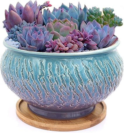 Amazon Co Jp 色釉 ビンテージ ラウンド セラミック 多肉植物 ポット 排水穴 トレイ付き 多肉植物ホルダー 盆栽 花瓶 庭装飾 サボテン植物 スタンド 人工トピアリー鉢植え容器 ホーム キッチン