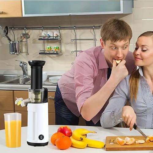 Masticating Juicer, Small Slow Juicer Cold Press Juicer machine