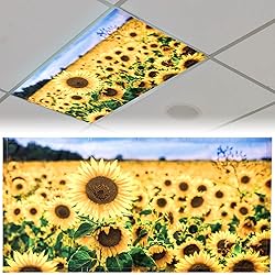 Patelai 4 x 2 Feet Fluorescent Light Cover for