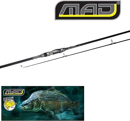 11ft carp rods