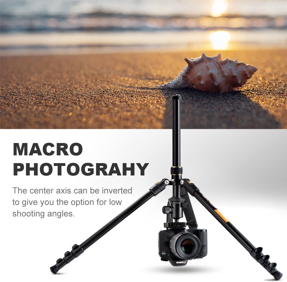 K&F Concept 62'' DSLR Tripod, Lightweight and Compact Aluminum Camera Tripod with 360 Panorama Ball Head Quick Release Plate for Travel and Work (TM2324 Black) : Camera & Photo