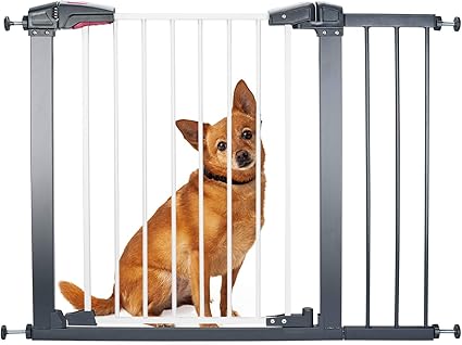 dog stair gate amazon