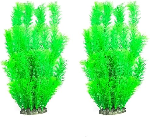 fish tank decorations plants