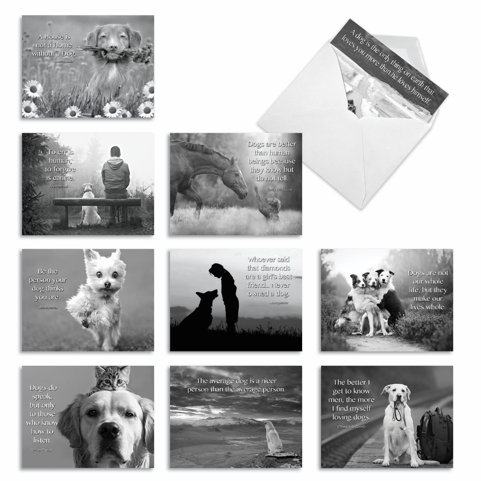 10 Assorted Canine Comment Thank You Greeting Cards with Envelopes - 'Canine Comments' Thank You Cards with Black and White Animal Image and Inspirational Quote 4 x 5.12 inch M1623TY