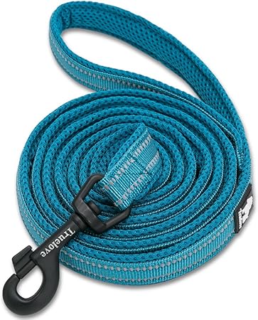 dog leash outdoor