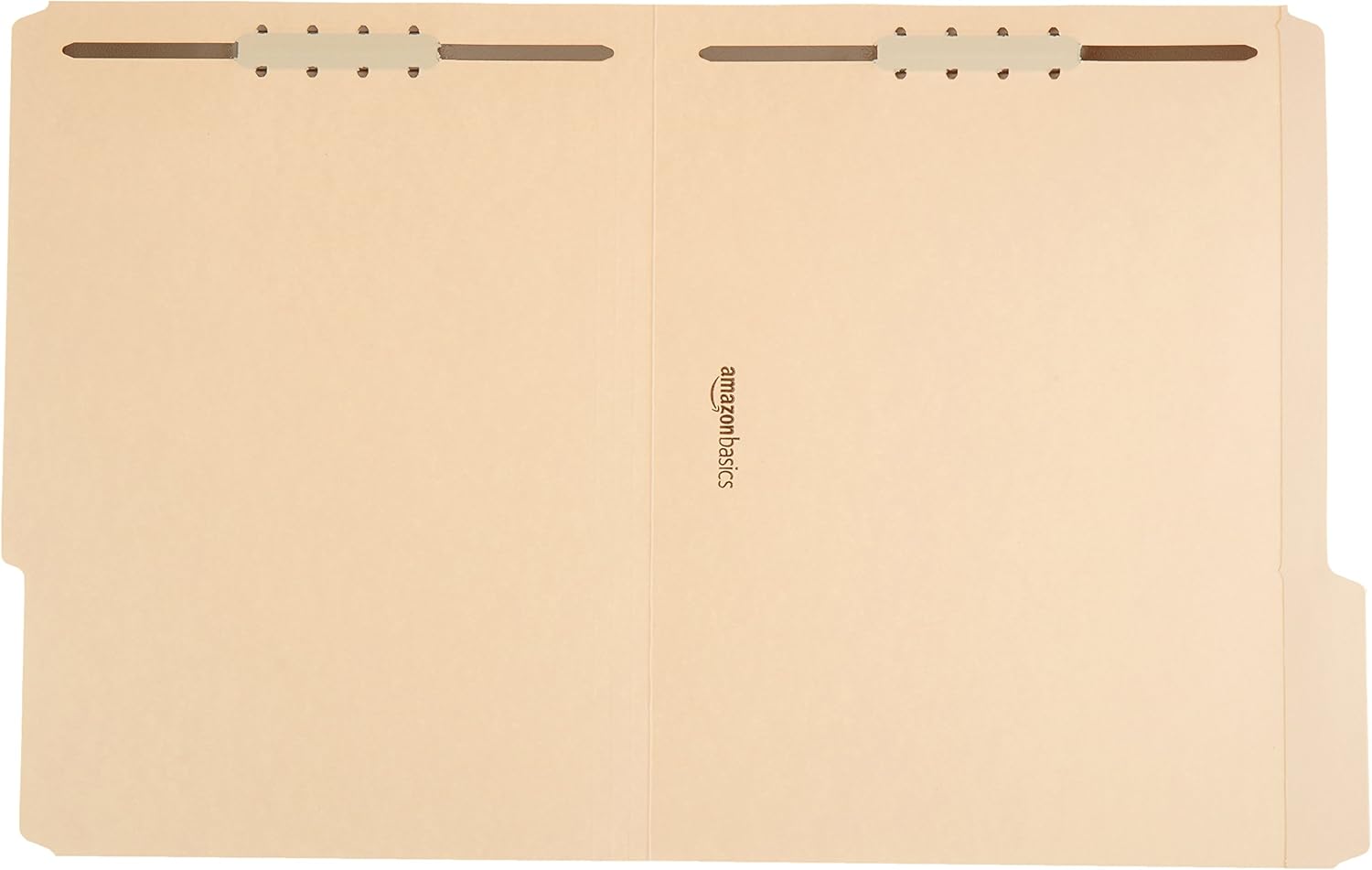 Basics AMZ201 Manila File Folders with Fasteners - Letter Size, 100-Pack : Office Products