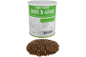 Purple Barley Seeds - Certified Organic - 5 Lbs - Handy Pantry Brand - Also Called Black Barley - No Hull - for Barleygrass, Grind for Flour, Food Storage, Soups & More