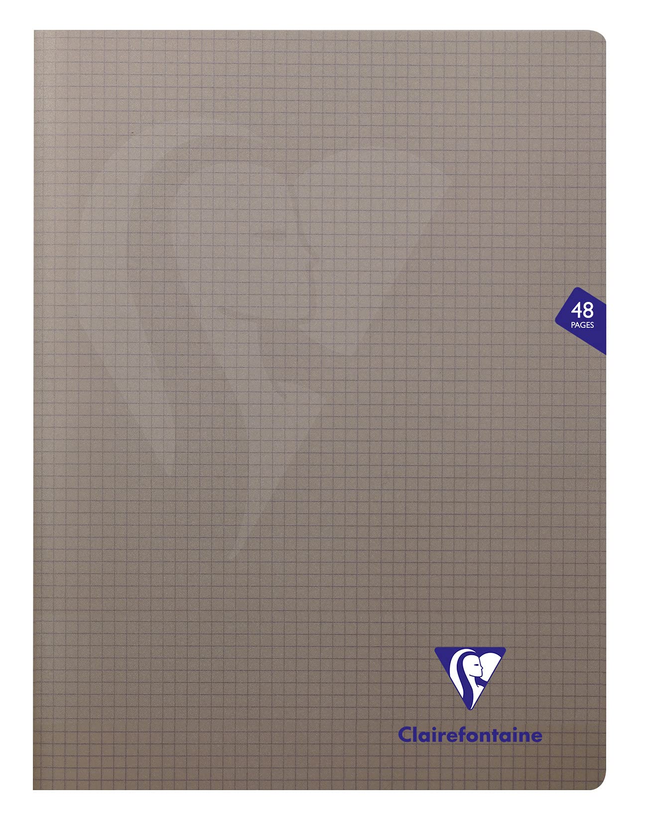 Clairefontaine 363312C - One Set of 10 Mimesys Grey Stapled Notebooks - Dimensions: 24x32 cm - 48 Small Squares Pages - White Paper 90 g - Polypro Cover