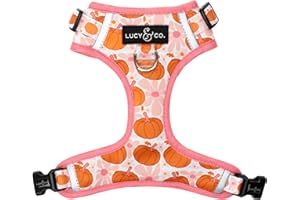 Lucy & Co. Cute No-Pull Sugar & Pumpkin Spice Harness - Stop Pulling & Walk Easy - Harness Available in XS-XL for Small, Medium, and Large Dogs (X-Small, Orange & Pink Pumpkins)