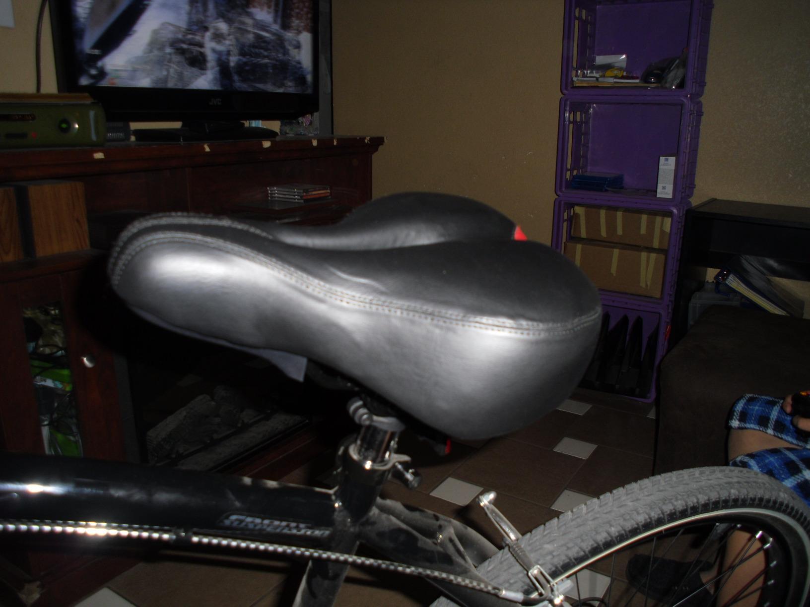 sporting schwinn bike history Preview Most Comfortable Women Bike