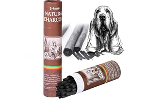 CongGongGo 25 Pcs Willow Charcoal Sticks, Willow Charcoal,Sizes: 2-4mm,Professional Soft Black Drawing Charcoal for Sketching & Art