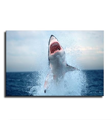 【非売品】ALSHARK アルシャーク B2 サイズ ポスター 非売品】ALSHARK アルシャーク B2 サイズ ポスター Alshark
