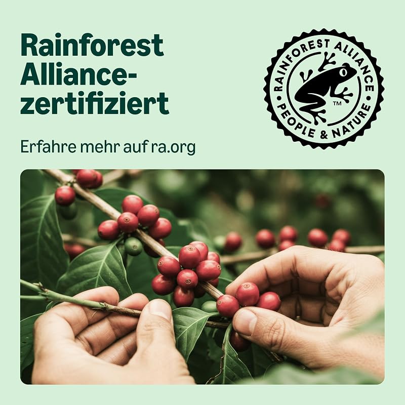 Lungo Aluminium-Kaffeekapseln, kompatibel mit Nespresso, mittelgeröstet, 100 Stück (5 Packungen mit je 20 Stück) – Rainforest Alliance zertifiziert