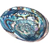Abalone Shell Smudging Bowl Seashell Incense Burner, 5-6 Inches