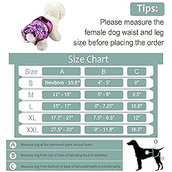 Female Dog Diapers - Premium Reusable Diapers for