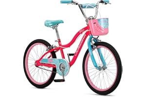 Schwinn Koen & Elm Big Kid Bike