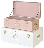 Vixdonos Metal Trunk Decorative Storage Box Set of