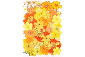 40Pcs Dried Pressed Flowers for Crafts,Xinxinran Dry Flowers Kit for Resin Molds,Epoxy Resin Accessories,Bookmark,Nails, Jewelry Molds,Candle Making Supplies,Soap,Frame,Cakes(Orange Yellow)