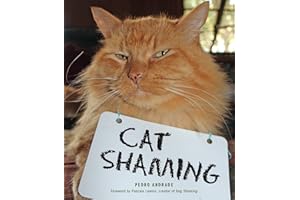 Cat Shaming