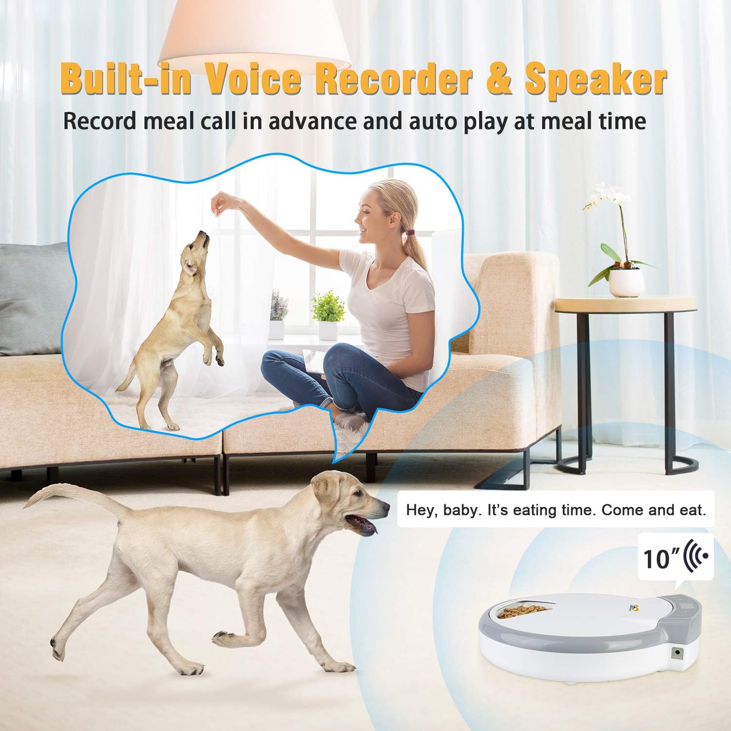 Pet Supplies : Casfuy 5-meals Automatic Cat Feeder - Auto Pet Feeder with Programmable Timer Dry and Wet Food Dispenser Voice Recorder & Speaker for Cat and Small Medium Dog Portion Control Dual Power Supply 5x240ml : 