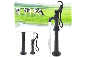 WBGANG Hand Well Water Pump,Cast Iron Manual Well Pump Pitcher Pump,With Ring Handle And Heightening Base,Deep Well Water Transfer Water Pump,Be Used In Yard Garden Pond, Farm Irrigation (Pump+Base)