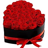 Hover Flower 27 Forever Preserved Flowers in a Box, Vanlentines Day Gifts for Her, Eternal Roses Flowers for Delivery Prime, Birthday Gifts for Women Mom Grandma Wife (Red)