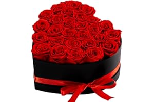 Hover Flower 27 Forver Preserved Flowers in a Heart Box, Flowers for Her,Eternal Roses Flowers for Delivery Prime, Flowers Birthday Gifts for Women Mom Grandma Wife - Red