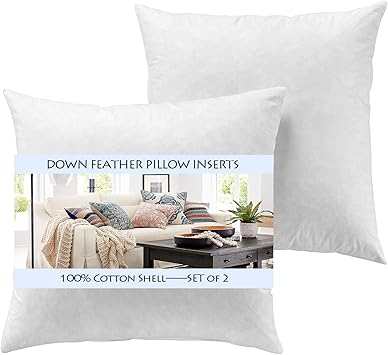 Amazon Com Yesterdayhome Set Of 2 16x16 Throw Pillow Inserts Down