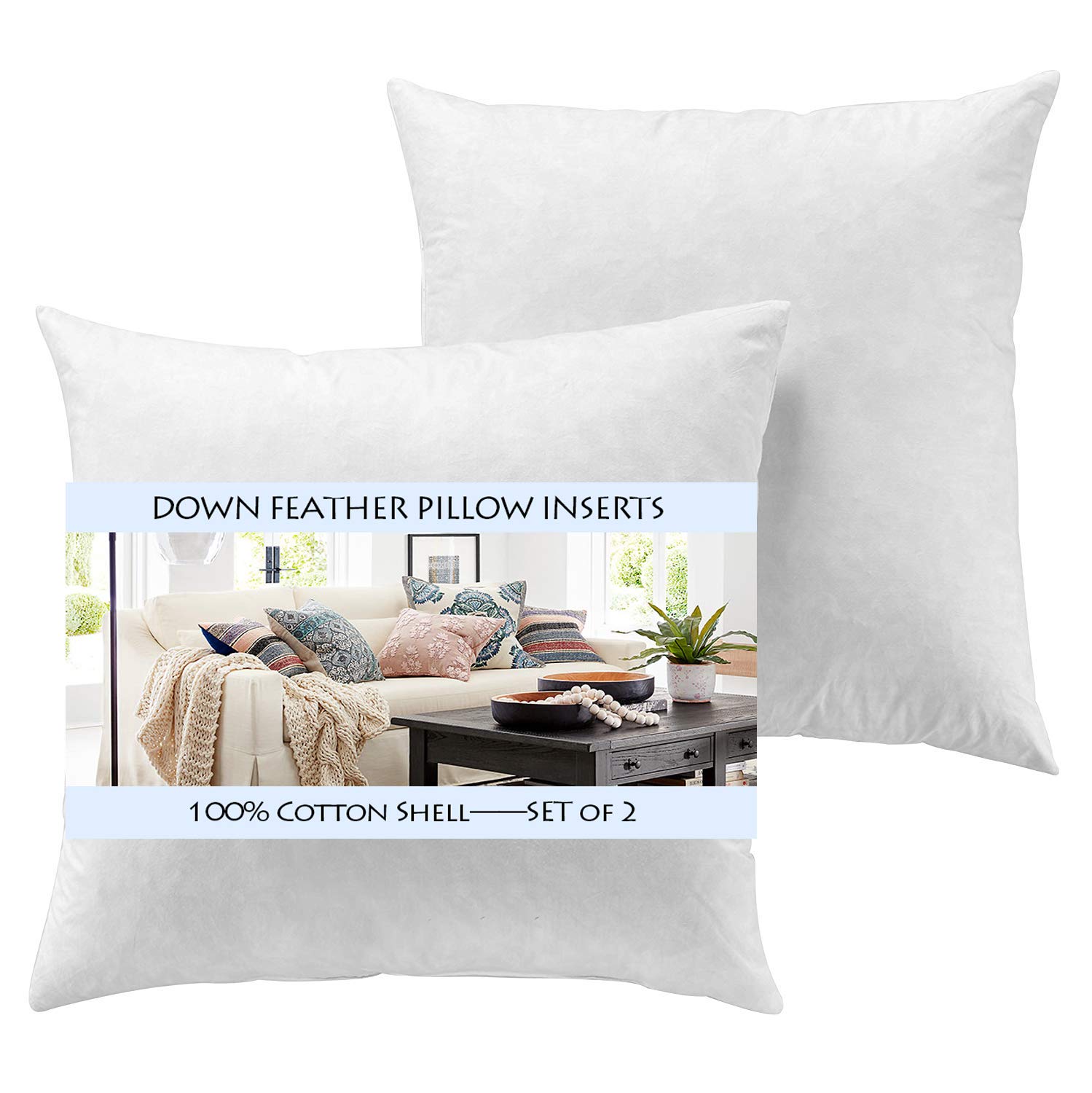 Photo 1 of Yesterday Home Set of 2-20x20 Throw Pillow Inserts-Down Feather Pillow Inserts-White