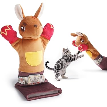 Amazon.com New Releases: The best-selling new & future releases in Cat Toys