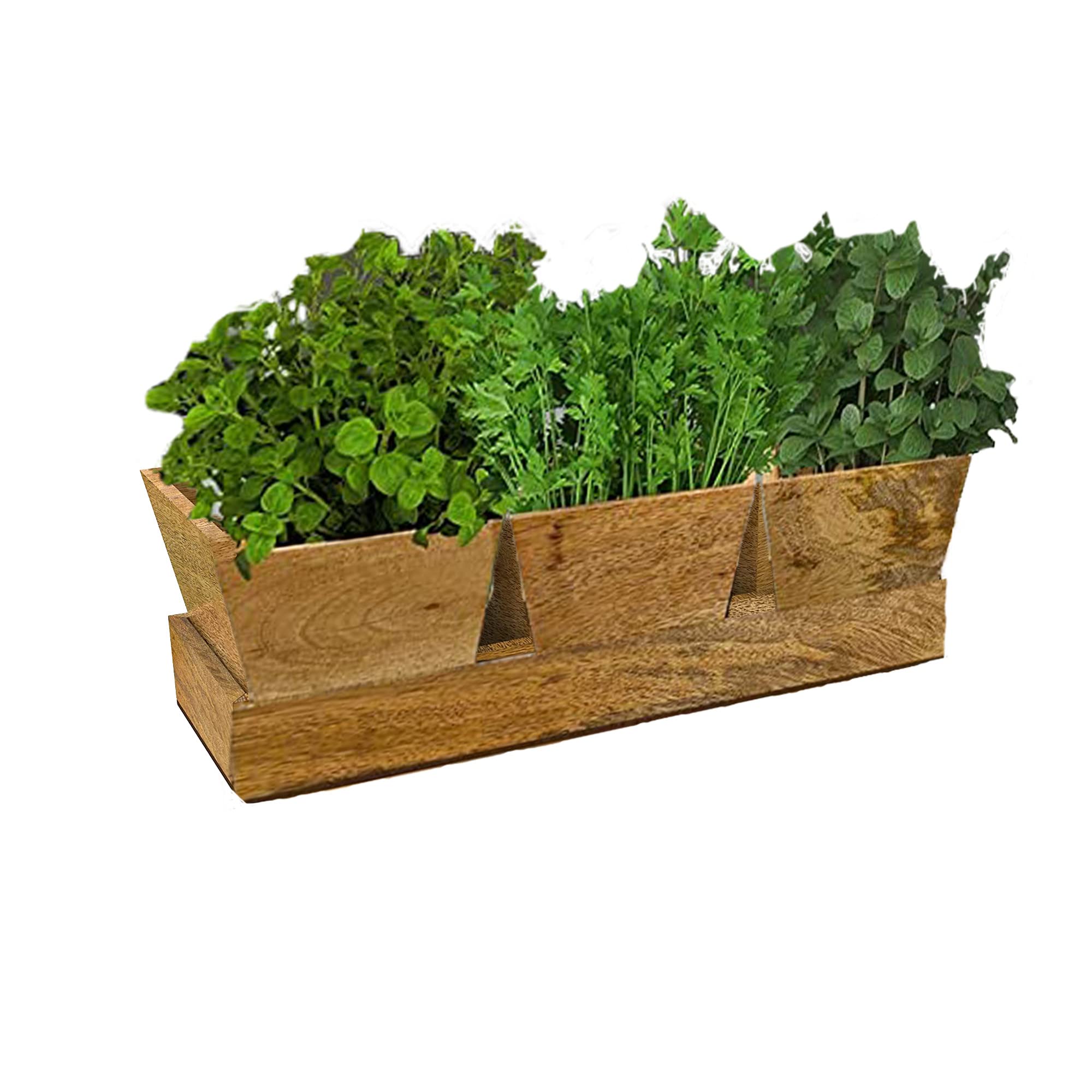 Wooden Herb Pots for Kitchen Windowsill - Set of 3 (30x15cm) - Herb Planters Indoor with Matching Tray - Kitchen Planter Ideal to Grow Fresh Basil, Mint, Parsley & More Herbs