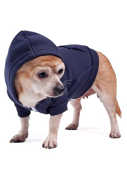 american apparel dog hoodie